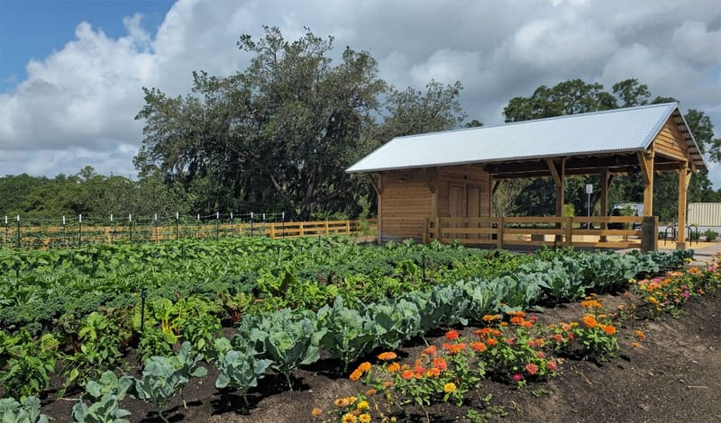 The working farm and farm stand at The Grow, East Orlando