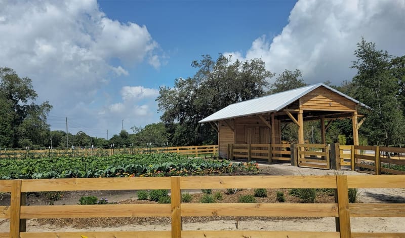 Vegetable gardens beside the farm shelter