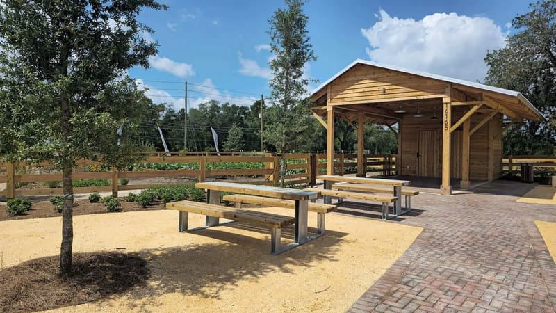 Community pavilion and picnic area by the gardens